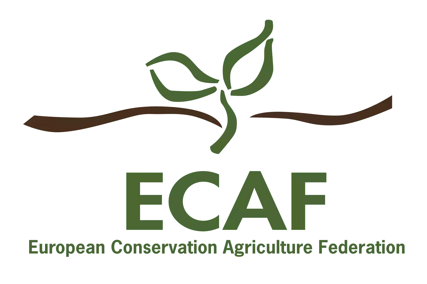 ECAF
