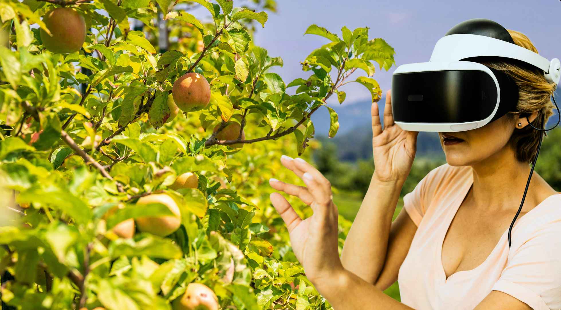 Virtual Reality Experience