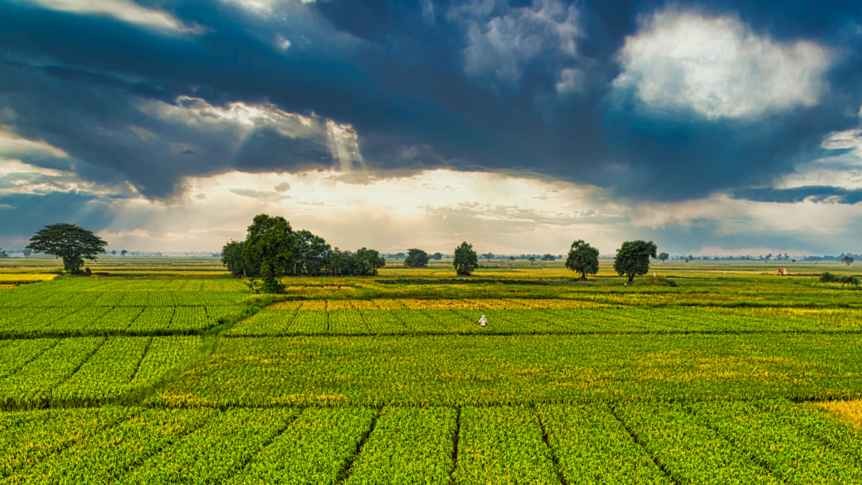 Introduction to Carbon Farming 