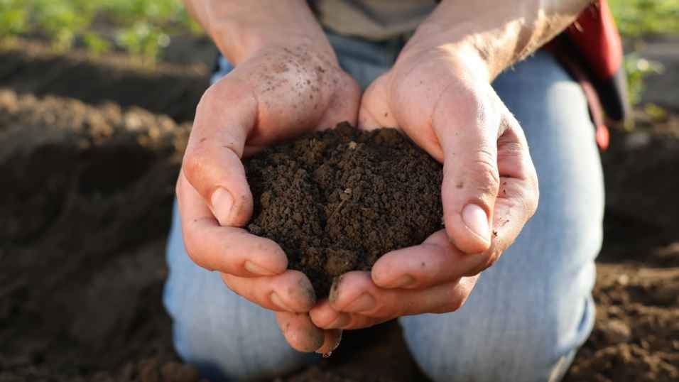 Soil Carbon Monitoring, Reporting and Verification (MRV) 