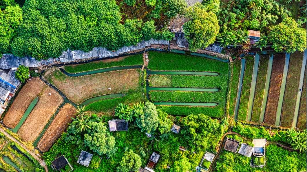 Carbon Farming Explained