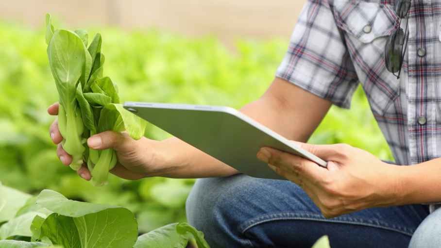 Carbon Farming Approaches and Techniques